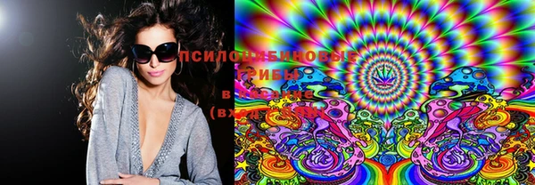 марки lsd Бородино